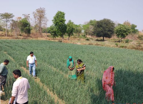 WhatsApp Image 2025-03-30 at 10.41.13 AM