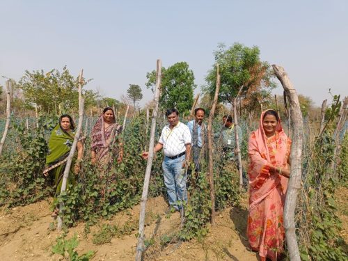 WhatsApp Image 2025-03-30 at 10.42.06 AM