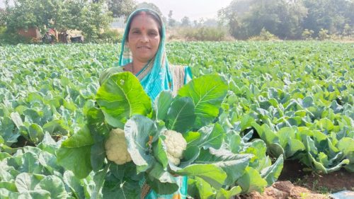 WhatsApp Image 2025-03-31 at 9.05.43 PM (1)