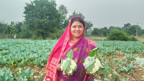 WhatsApp Image 2025-03-31 at 9.05.43 PM