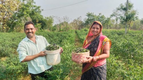 WhatsApp Image 2025-03-31 at 9.05.46 PM