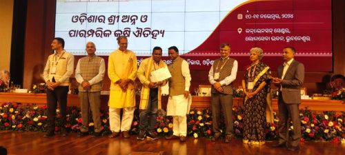 484652345 679176268108961 8862879570570833349 n