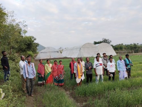 WhatsApp-Image-2025-05-17-at-9.39.01-AM