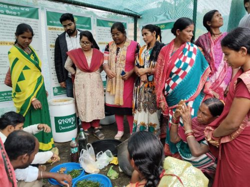 WhatsApp-Image-2025-05-17-at-9.39.02-AM-1